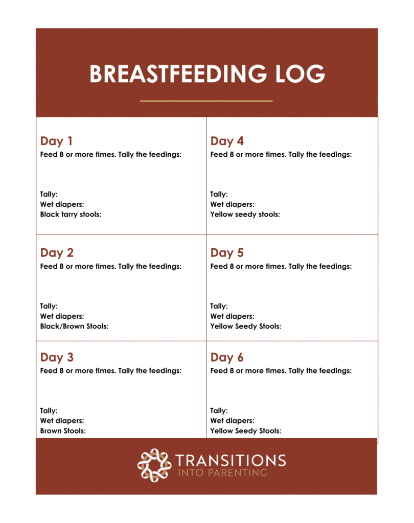 Newborn Feeding Log